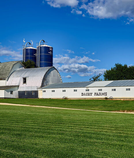 USA Dairy Farm Tours