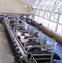 dairy farm tour indiana