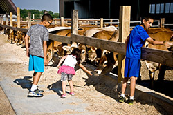 dairy goat farm tour