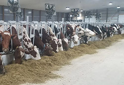 oregon dairy farm tours