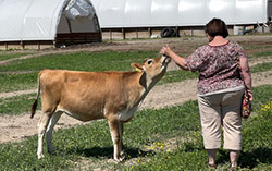 cow farm visit near me