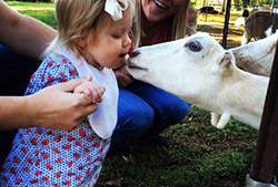 dairy goat farm tour