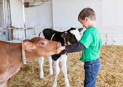 oregon dairy farm tours