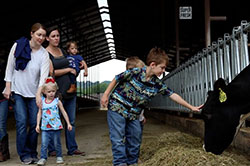 hansen's dairy farm tours