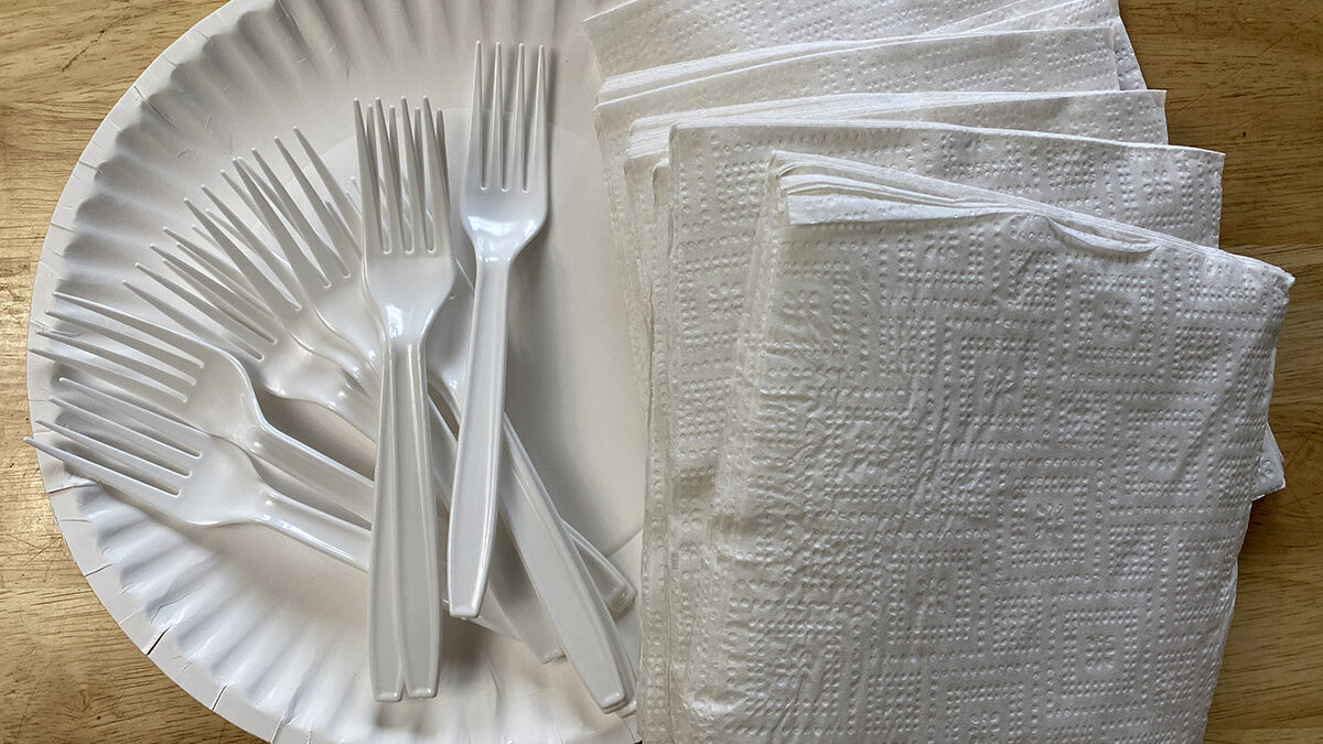 Wholesale Biodegradable & Disposable Cutlery Supplier & Factory - Lesui