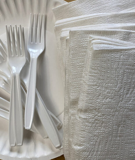 Disposable Tableware Made in the USA