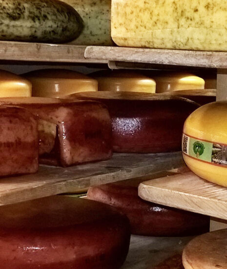 USA Cheese Factory Tours