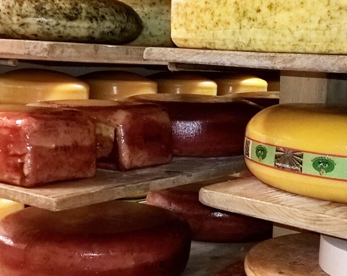 USA Cheese Factory Tours