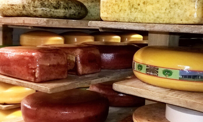 USA Cheese Factory Tours