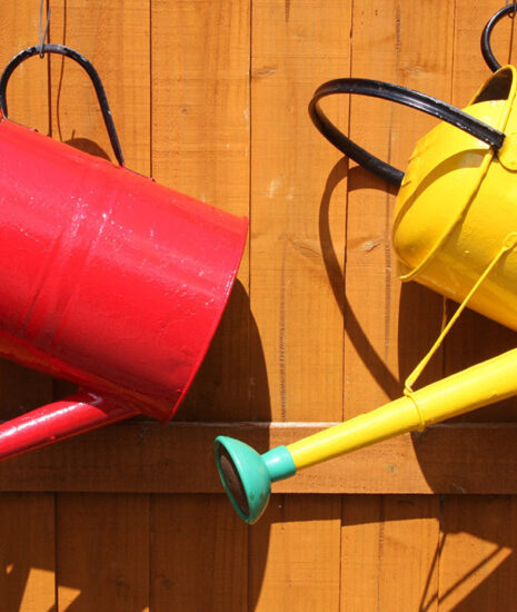 Watering Cans Made in the USA