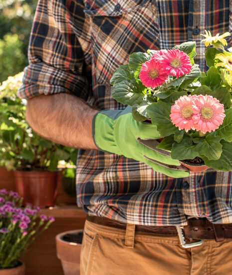 Garden Planters Made in the USA