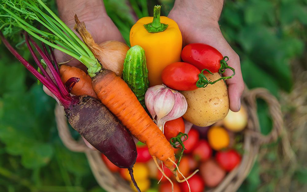 Garden Fresh Vegetables for Canning