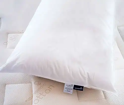 Naturepedic Organic Pillow