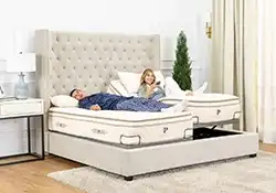 PlushBeds Split King Organic Mattress Made in USA