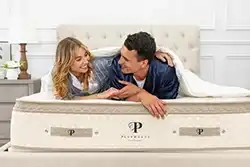 PlushBeds Organic Mattress Made in USA