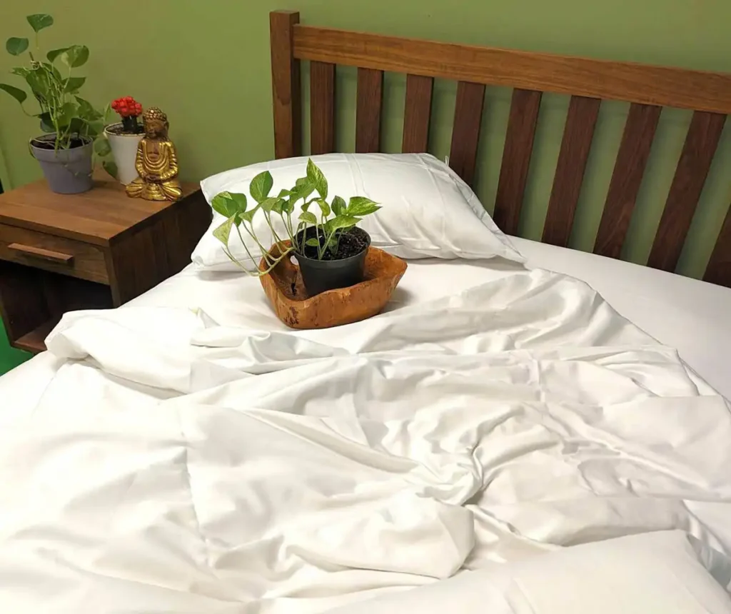 White Lotus Home Organic Mattresses made in America